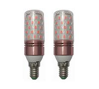 WELSUN Ampoule de lumière LED Basse Tension 24V E14 12V 10W Ampoule de maïs 2835SMD 60ED AC/DC 12-40v for RV Camper Marine, éclairage Solaire et Grille 2pcs / lot (Couleur : Rouge)
