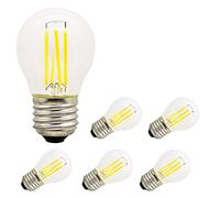 WELSUN Basse Tension E27 Ampoule LED 12V 4W 24v G45 rétro Edison Balle Ampoule 2700K Blanc Chaud 36V Lampe Ampoule AC / DC12-36V for RV Camper Marine, Solaire Lumière et Hors réseau 6-Pack