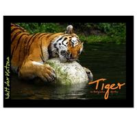 Welt der Katzen - Tiger (Tischkalender 2026 DIN A5 quer), CALVENDO Monatskalender: Kalender mit stimmungsvollen Tigeraufnahmen aus Zoologischen Gärten