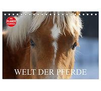 Welt der Pferde (Tischkalender 2026 DIN A5 quer), CALVENDO Monatskalender: Die Schönheit der Pferde in 13 zauberhaften Fotos