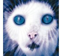Weltraum - Sweet Valentine [Import]