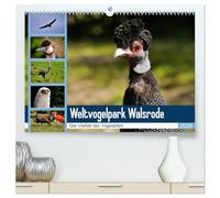Weltvogelpark Walsrode - Die Vielfalt der Vogelarten (hochwertiger Premium Wandkalender 2026 DIN A2 quer), Kunstdruck in Hochglanz: Vogelparks erhalten eine Vielfalt aussterbender Vögel.