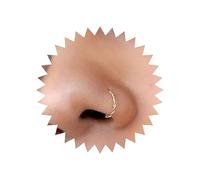 Wendalern Or Twisted Rope Anneaux de Nez Minimaliste Tribal Fait Main Anneau de Nez Vis Acier Inoxydable Anneaux de Nez Boucles d'Oreilles Piercing Bijoux pour Femmes Adolescentes Filles