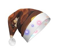 WenDang Teckel Weiner Chapeau de Père Noël en flanelle avec lumières LED, 3 modes