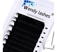 WENDY LASHES Volume Russe Extension Cils Bouquet 0.05mm C-Curl Mixte 12mm