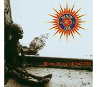 Wendy & Lisa - Re-Mix-in-a-Carnation [Import]