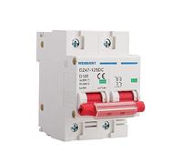 Wengart Disjoncteur DC 500V 100A - Courbe D pour Fort Courant d'Appel - Protection Magnétothermique pour Système Solaire et Batteries - Montage Rail DIN - Isolateur Photovoltaïque Bipolaire (2P)