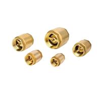 WENH Clapet anti-retour à ressort en ligne, filetage en laiton DN15 DN20 DN25 DN32 DN40 DN50 for le contrôle de l'eau, vanne de pompe à eau 1 pièces(1/2")