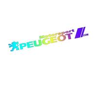 WENINETIES Autocollant Logo pour Voiture pour Peugeot Rifter 4x4 Concept 2018-2018 Minivan, Autocollant Modifié pour Voiture, Autocollant Décoratif pour Carrosserie Décoration,Color