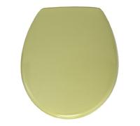 Wenko 135083100 Abattant Roma Vert