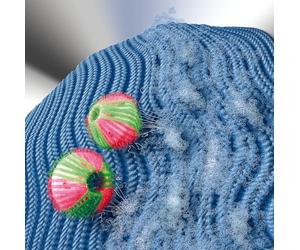 WENKO Boules de nettoyage anti-peluches set de 6 - set de 6, Polypropylène, 4 x 4 cm, Vert