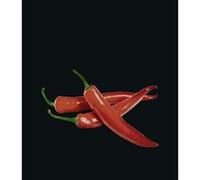 Wenko - Fond de hotte Peperoni - L. 60 x l. 70 cm - Noir Noir G