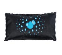 WENKO Lot de 2 déshumidificateurs Voiture avec indicateur 400g |Absorbeur d'humidité réutilisable| Indication Saturation | Voitures caravanes| Anti humidité et moississure | 18,5x3x11,5cm | Noir