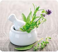 WENKO Multi Plaque Couverture Cuisine Planche à découper Herbes aromatiques Jardin