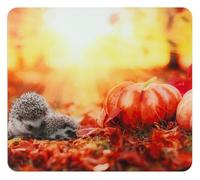 WENKO Plaque Multi-Usage Mod Automne, 3 en 1, planche de cuisine, pare-éclaboussures, couvre-plaques, planche à découper, verre, 56 x 50 cm