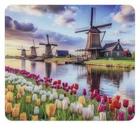 WENKO Plaque Multi-Usage Mod Moulin à vent, 3 en 1, planche de cuisine, pare-éclaboussures, couvre-plaques, planche à découper, verre, 56 x 50 cm