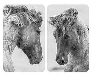 WENKO Protège-plaques de cuisson Universal Horses, set de 2, recouvrement de plaque pour tous les types de cuisinières, verre trempé, 30 x 52 cm, gris
