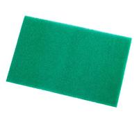WENKO Tapis fraicheur frigo - pour la conservation des fruits et légumes, Mélamine, 46 x 29.5 cm, Vert