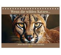 Wenn die wilden Katzen leise durch ihr Revier streifen (Tischkalender 2026 DIN A5 quer), CALVENDO Monatskalender: Von kleinen und großen Samtpfoten