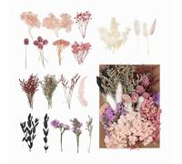 Wennicy Paquet de Fleurs Séchées Naturelles Fleurs Réelles Séchées et Conservées Séchées Naturellement Couleur Préservée Décoration Maison Cadeau Fleurs Séchées Decoration
