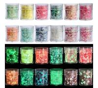 Wenrescry 12 Couleurs Paillettes Fluorescentes - Poudres Chunky et Fines - Visage, Corps, Cheveux, Ongles - Maquillage Festival, Halloween, Brille dans le Noir