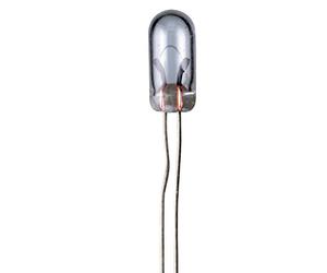 WENTRONIC Ampoule miniature Néon T1 0,56 W Câble perdu 14 V (DC) 40 mA