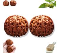 Wenwan Walnuts, Chinese Walnut Fidget for Hand Massage & Stress Relief, Natural Solid Wood Hand Exercise Balls, Traditional Health Care Gift for Elderly & Meditation (A-High Throw, 40-41mm)
