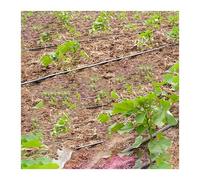 WENYAZIGUO Ruban d'irrigation Goutte-à-Goutte, Bande d'égouttement Plate PE DN16, épaisseur de 0.2mm, espacement des émetteurs, 100-400mm, Longueur 20-100m(Space 400mm,DN16 80 Meters)