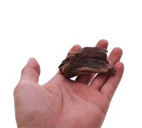 WENYOG Bois Flotté Décoration de réservoir cachette Tortue en Bois flotté Ornement Racine d'arbre Jeune Arbre Violet décor d'aquarium décora(5-10cm1 Piece)