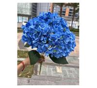 WENYOG Hortensia Artificielle Grande Taille 5 têtes de Fleurs artificielles Hortensia Blanc Rose Soie Bricolage Bouquet de mariée Mariage Fausses Fleurs décoration de fête à la Maison(Deep Blue)