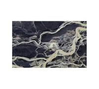 WENYOG Poster Aquarium Autocollant adhésif en PVC for Fond d'aquarium 3D, Motif Rocheux(Color1,50x80cm)