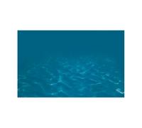 WENYOG Poster Aquarium Autocollant de Fond d'aquarium, Papier Peint Paysage sous-Marin, décorations Toile en PVC(BLUE4,50x80cm)