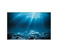 WENYOG Poster Aquarium Autocollant de Fond d'aquarium, Papier Peint Paysage sous-Marin, décorations Toile en PVC(BLUE2,50x80cm)