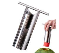 Weppduk Outil de carottage de fruits, carotteur de légumes - Corer de fruits en acier inoxydable,Corer de fruits en acier inoxydable, outil multifonctionnel pour fruits et légumes