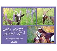 Wer zickt denn da? Mit Ziegen durchs Jahr (Tischkalender 2026 DIN A5 quer), CALVENDO Monatskalender: Freche Ziegen auf Wiesen und Weiden