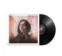 We're All Going To Be Fine Vinyle
