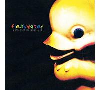 Fleshwater – We're Not Here To Be Loved – CD