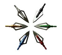 WEREWOLVES Broadheads de tir à l'arc 2 Lames Arrow Heads 100 Broadheads de Chasse de Grains avec la boîte (Noir)
