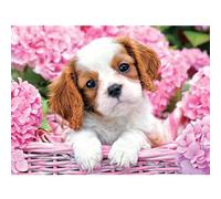 Wergund Diamond Painting Chien, 5D DIY Broderie Diamant Animales, Peinture Diamant Kits pour Adultes Strass, Diamant Arts Craft Débutant pour la Décoration Murale à la Maison 30x40 cm