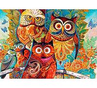 Wergund Diamond Painting Chouette Oiseau, 5D DIY Broderie Diamant Animaux, Peinture Diamant Kits pour Adultes Strass, Diamant Arts Craft Débutant pour la Décoration Murale à la Maison 30x40 cm