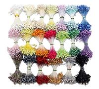 Weriirew 900pcs Aléatoire Mixte Double Têtes Fleur Étamine pour la Fabrication de Fleurs DIY Artificielle Mini Perle Fleur Étamine Pistil