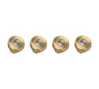 WERKA PRO Buse Laiton pour brumisateur 4 pcs