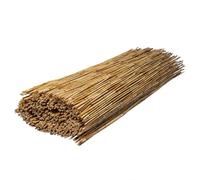 WERKA PRO Canisse en Roseau Naturel 1 x 5 m