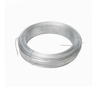 WERKA PRO Fil de Fer Galvanisé Ø2,4mm Acier Galvanisé Résistant 50 m | Polyvalent, durable, usage jardin et bricolage, clôture, longueur 50 m, pour renforcement et sécurisation
