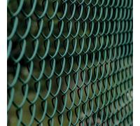 WERKA PRO Grillage Maille Losange 10 m 1,5 m