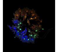 WERKA PRO Guirlande Solaire Multicolore 30 LED, Éclairage Automatique à Panneau Solaire, Longueur 6,5M, Idéale pour Décoration Extérieure, Résistante aux Intempéries, Multicolore.