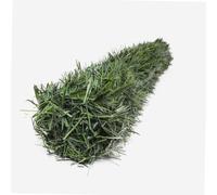 WERKA PRO Haie Artificielle Verte - Occultation et Protection pour Jardin et Balcon - Dimensions 0,8 x 3 m - Structure Acier