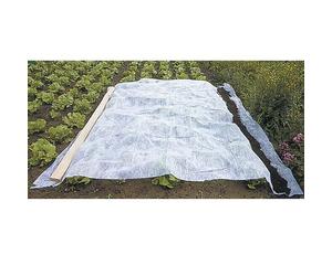 WerkaPro 10380 - Voile d'hivernage en rouleau - 2 x 5 m - 30 g/m2 - Blanc