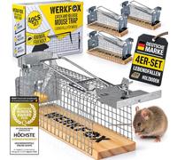 WERKFOX® Piège à Souris Vivant 4 Pièces - Capture Humaine | Cage grillagée robuste, base en bois, sans poison ni pièges mortels - idéal maison, cave, garage