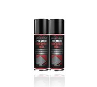 WerkXheld 2x Zinc Spray Light 400 ml - Spray antirouille haute performance et peinture au zinc pour surfaces métalliques, résistant à la chaleur, idéal pour la protection des voitures, gris clair